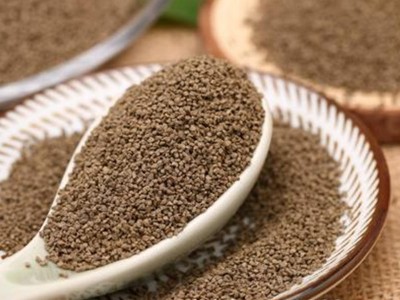 饲料草莓黄片软件方案